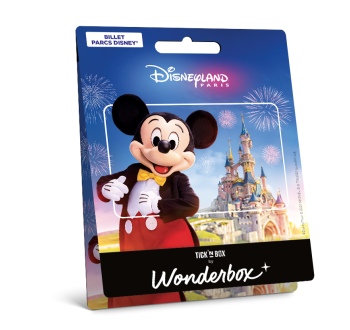 Carte cadeau Disneyland® Paris Mickey