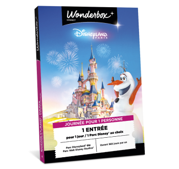 Coffret cadeau Disneyland Paris 1 Jour 1 Parc Adulte