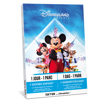 Coffret cadeau Disneyland Paris 