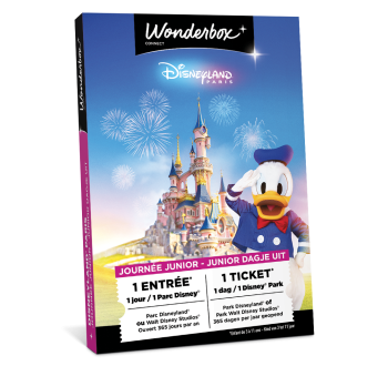 Coffret cadeau Disneyland Paris 