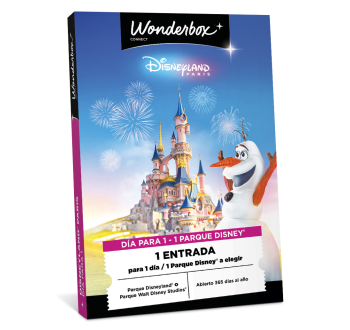 Cofre Regalo Disneyland París - 1 Día para 1 Adulto | Wonderbox Connect