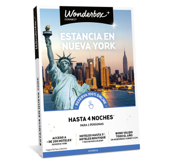 Estancia En Nueva York 